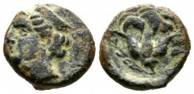Cyprus, Paphos, Timocharis, c. 385 BC, Æ, 3.77g, 14mm. Head of Aphrodite left / Rose. Tziambazis 92, p.27; BMC 49. Very Fine and rare