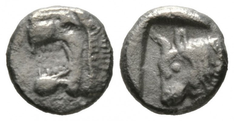 Cyprus, Soloi, c. 480 BC, Tetrobol, 3.29g, 14mm. Head of roaring lion left / Bul...