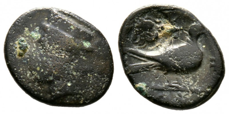 Cyprus, Paphos, Timocharis, c. 385 BC, Æ, 2.47g, 15mm. Head of Aphrodite(?) left...