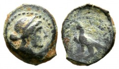 Ptolemaic Kings of Egypt, Arsinoe III, wife of Ptolemy IV (220-204 BC), Chalkon, Paphos, 0.91g, 10mm. Diademed idealized head right / Eagle standing l...