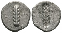 Southern Lucania, Metapontion, c. 470-440 BC, Stater, 6.98g, 21mm. Barley ear. R/ Incuse barley ear. Noe Class XI; HNItaly 1484. Good Fine, porous