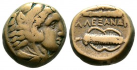 Kings of Macedon, Alexander III ‘the Great’ (336-323 BC), Æ, Uncertain mint in Macedon, 8.30g, 16mm. Head of Herakles right, wearing lion skin / Club ...
