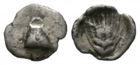 Boeotia, Orchomenos, late 5th century-364 BC, Hemiobol, 0.30g, 8mm. Half wheat grain, sprouting end upward / Wheat ear upward. BCD Boiotia 205. Very f...