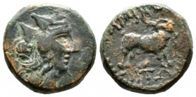 Macedon, Amphipolis, c. 187-168/7 BC, Æ, 6.59g, 17mm. Wreathed head of Dionysos right / Goat standing right. Touratsoglou 19; cf. SNG ANS 142-3 (monog...