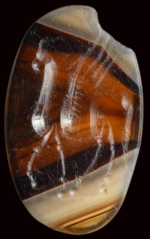 A roman italic banded agate intaglio. Pegasus. 

2nd century B.C.

10 x 17 x...