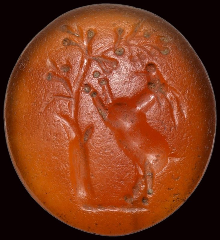 A roman carnelian intaglio. A goat under a tree. 

1st century B.C.

12 x 13...