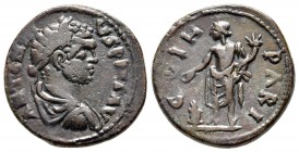 Caracalla, 198 - 217 AD, AE24, Parion, Unpublished