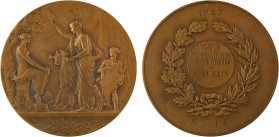 Borrel (A.) : Société des produits As de Trèfle (photographie), 1927 Paris

SPL. Bronze, 69,0 mm, 135,50 g, 12 h

Triangle

Splendide exemplaire...