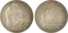 Bottée (L.) : Centenaire de l'internat en Médecine et Chirurgie, 1881 Paris

SUP+. Bronze argenté, 69,0 mm, 125,10 g, 12 h

Corne d'abondance

L...