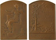 Bottée (L.) : Comité français des expositions à l'étranger, 1899 Paris

SPL. Bronze, 64,0 mm, 54,90 g, 12 h

Corne d'abondance

Splendide exempl...