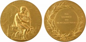 Chaplain (J.-C.) : Société des ingénieurs civils, 1948

SPL. Bronze doré, 57,5 mm, 82,95 g, 12 h

Splendide exemplaire en bronze doré sans différe...