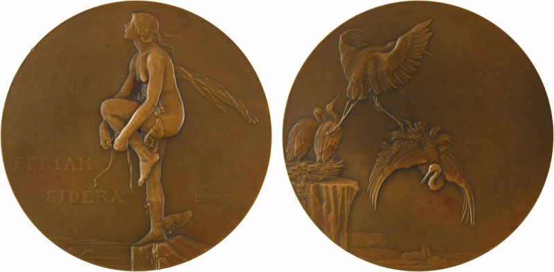 Dammann (P.-M.) : Feriam Sidera, 1920 Paris

SUP+. Bronze, 90,0 mm, 220,70 g, ...