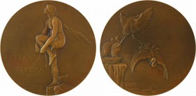 Dammann (P.-M.) : Feriam Sidera, 1920 Paris

SUP+. Bronze, 90,0 mm, 220,70 g, 12 h

Corne d'abondance