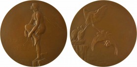 Dammann (P.-M.) : Feriam Sidera, 1973 Paris

SPL. Bronze, 90,0 mm, 273,50 g, 12 h

Corne d'abondance

Splendide refrappe de 1973