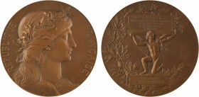 Daniel-Dupuis (J.-B.) et Dubois (H.) : Inauguration du gymnase de Saint-Ouen, 1909 Paris

SPL. Bronze, 68,0 mm, 142,40 g, 12 h

Corne d'abondance