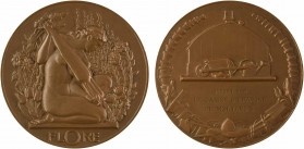 Delannoy (M.) : Flore, s.d. Paris

SPL. Bronze, 50,0 mm, 65,00 g, 12 h

Corne d'abondance