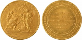 Dubois (A.) : 3e prix de peinture (à Charles Beauverie), 1877 Paris

SPL. Cuivre doré, 51,0 mm, 65,65 g, 12 h

Abeille