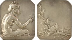 Dubois (H.) : Femme à la fleur, s.d. Paris

SUP. Bronze argenté, 60,5 mm, 78,75 g, 12 h

Corne d'abondance

Légers chocs dans les angles de cett...