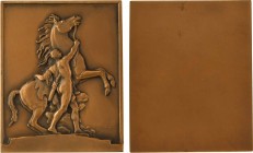 Lenoir (P.) : le cheval de Marly, d'après Coustou, s.d. Paris

SPL, R. Bronze, 75,5 mm, 145,90 g, 12 h

Triangle

Splendide plaquette uniface li...