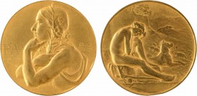 Mérot (J.-L.) : Pax, 1907 Paris

SUP. Bronze doré, 63,0 mm, 114,86 g, 12 h

Corne d'abondance

Choc sur le listel au revers à 6 h. et légère per...