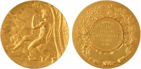 Mouchon (E.) : 1ère fête fédérale de Narbonne, 1909

SUP. Bronze doré, 46,0 mm, 34,30 g, 12 h

Carré

Traces sur la tranche. Exemplaire livré da...
