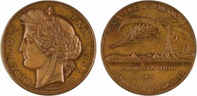 Oudiné (E. A.) : Exposition de 1889 (centenaire de 1789), 1889 Paris

SPL. Bronze, 50,5 mm, 59,56 g, 12 h

Corne d'abondance