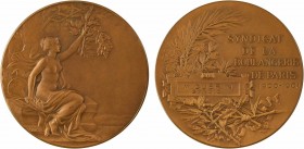 Pillet (C.) : Syndicat de la boulangerie de Paris, 1901

SPL. Bronze, 59,0 mm, 90,00 g, 12 h

Triangle

Attribution au revers
