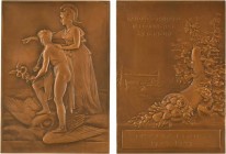 Pillet (C.) : Minerve et Mercure (Banque Française du Commerce Extérieur), 1949 Paris

SPL. Bronze, 88,0 mm, 213,20 g, 12 h

Corne d'abondance

...