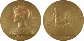 Rivet (A.) : XIIIe exposition philomathique de Bordeaux, 1895 Paris

SUP+. Bronze doré, 61,5 mm, 105,85 g, 12 h

Corne d'abondance

Infimes hair...