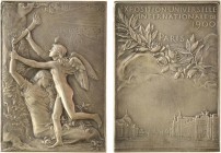 Roty (L.-O.) : Exposition Universelle de Paris, 1900 Paris

SPL. Bronze argenté, 51,0 mm, 34,43 g, 12 h

Corne d'abondance
