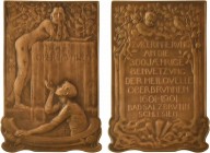 Allemagne, 300 ans d'utilisation de la source minérale d'Oberbrunnen, par Kraumann, 1601-1901

SPL. Bronze, 72,0 mm, 73,70 g, 12 h