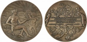 Argentine, l'Italie à l'exposition viticole de Buenos Aires, 1896

SUP+. Bronze argenté, 56,0 mm, 61,90 g, 12 h