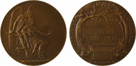 Argentine, Congrès américain d'Hygiène de Buenos Aires, par Carcova, 1910

SPL. Bronze, 70,0 mm, 141,40 g, 12 h

Triangle