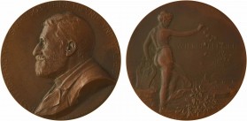 Autriche, 70e anniversaire de Ferdinand von Saar, par C. M. Schwerdtner, 1903

SUP+. Bronze, 60,0 mm, 84,54 g, 12 h

Patine très légèrement variée...