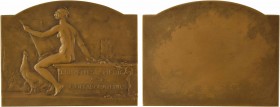 Belgique, Bruxelles Médical à ses collaborateurs, par Bonnetain, s.d

SPL. Bronze, 55,0 mm, 86,11 g, 12 h