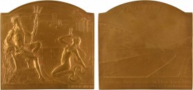 Belgique, Exposition internationale de l'eau à Liège, 1909

SPL. Bronze, 77,5 mm, 195,56 g, 12 h

Différent J. FONSON sur la tranche