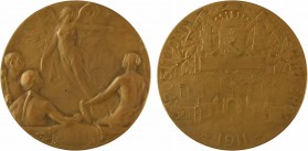 Belgique, Exposition de Charleroi, par Mauquoy, 1911

SUP+. Bronze, 60,0 mm, 81,45 g, 12 h