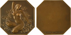 Belgique, Nu féminin à la couronne de fleurs, par Louis Dupont (L'œuvre des artistes), 1934

SUP+. Bronze, 64,0 mm, 133,14 g, 12 h

Différent J. F...