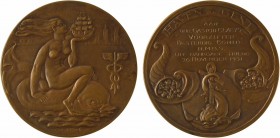 Belgique, le Comité permanent du port de Gand à son président Gaston Clayes, par C. de Cock, 1951

SPL / SUP+. Bronze, 70,0 mm, 125,95 g, 12 h

Di...