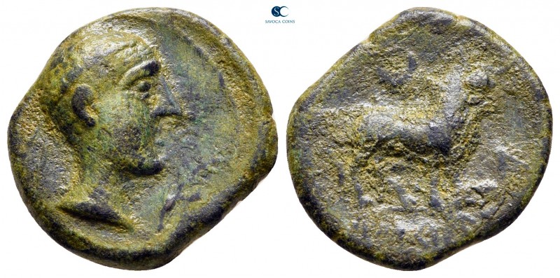 Hispania. Castulo circa 200-100 BC. 
Bronze Æ

20 mm., 4,31 g.



very fi...