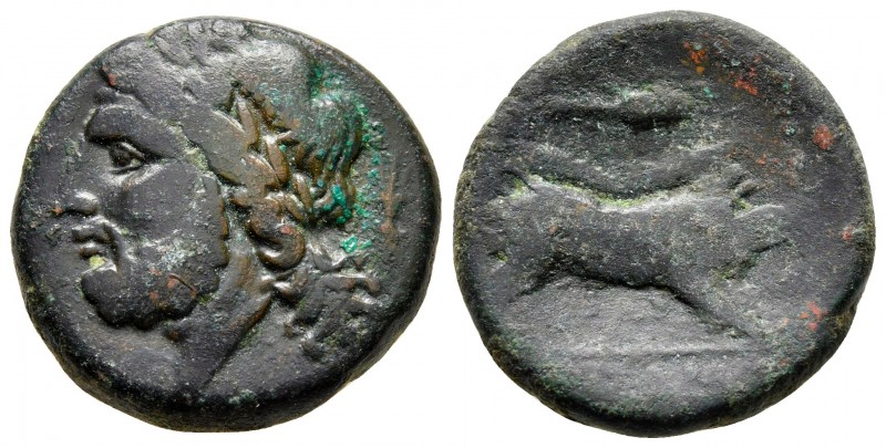Apulia. Arpi circa 325-275 BC. 
Bronze Æ

21 mm., 8,16 g.



very fine