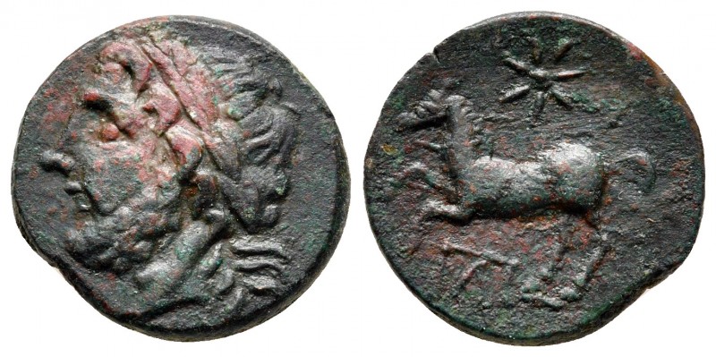 Apulia. Arpi circa 325-275 BC. 
Bronze Æ

15 mm., 3,06 g.



very fine