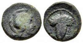 Apulia. Arpi circa 215-212 BC. Bronze Æ