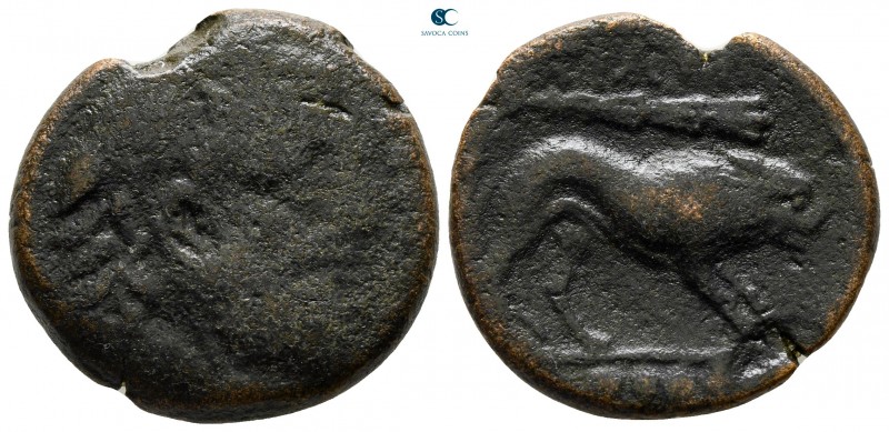Apulia. Teate circa 250-200 BC. 
Bronze Æ

23 mm., 10,59 g.



nearly ver...