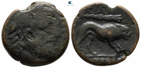 Apulia. Teate circa 250-200 BC. Bronze Æ