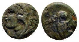 Lucania. Velia circa 350-300 BC. Bronze Æ
