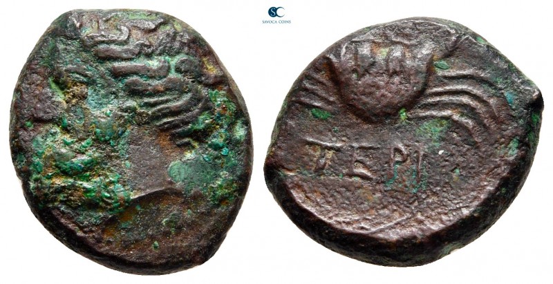 Bruttium. Terina circa 350-275 BC. 
Bronze Æ

17 mm., 3,68 g.



very fin...