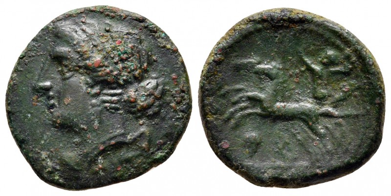 Bruttium. The Brettii circa 214-208 BC. 
Bronze Æ

17 mm., 3,68 g.



ver...