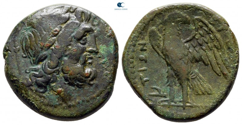 Bruttium. The Brettii circa 211-208 BC. 
Bronze Æ

20 mm., 6,65 g.



ver...