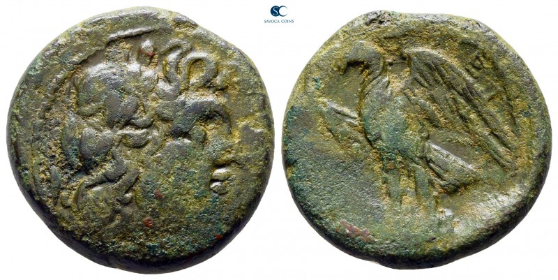 Bruttium. The Brettii circa 211-208 BC. 
Bronze Æ

20 mm., 7,69 g.



ver...